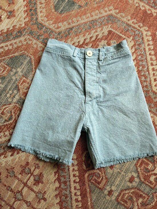 Jesse Kamm Pants - Jesse Kamm Lake Shorts in Piscine